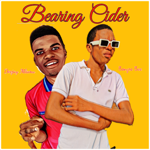 Bearing Cider - Bongza Bee