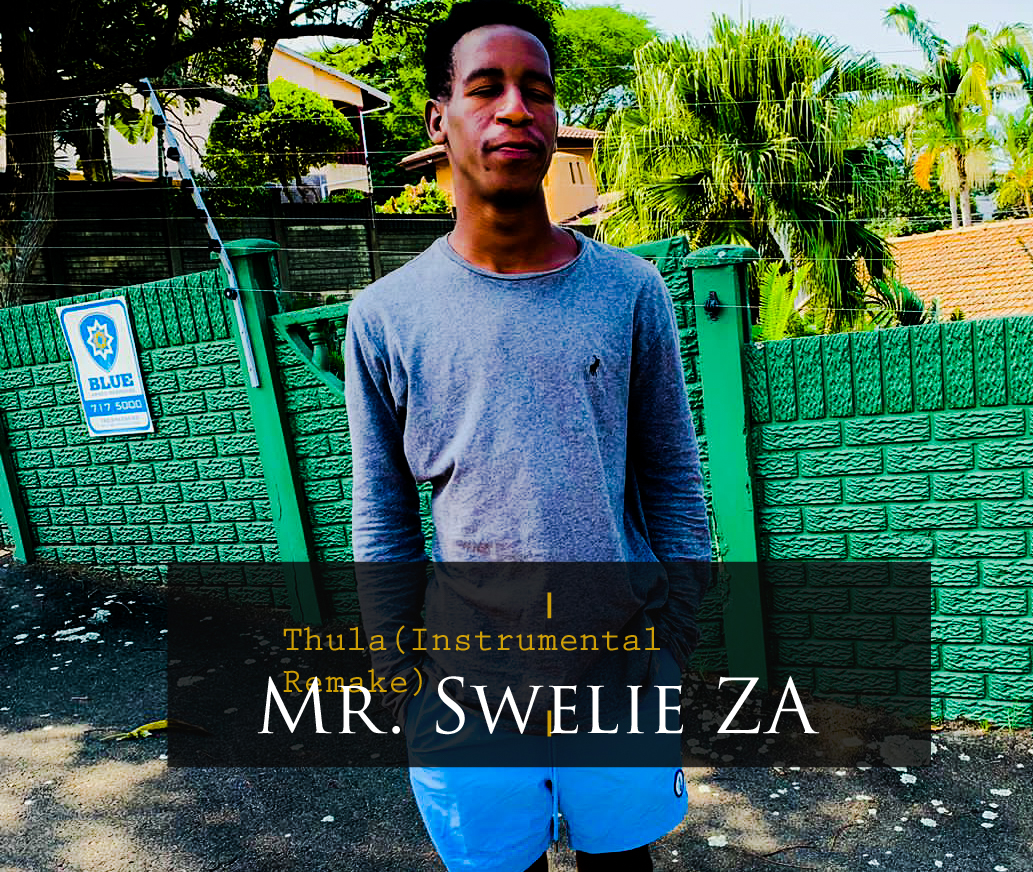 Thula (Instrumental Remake) - Mr Swelie