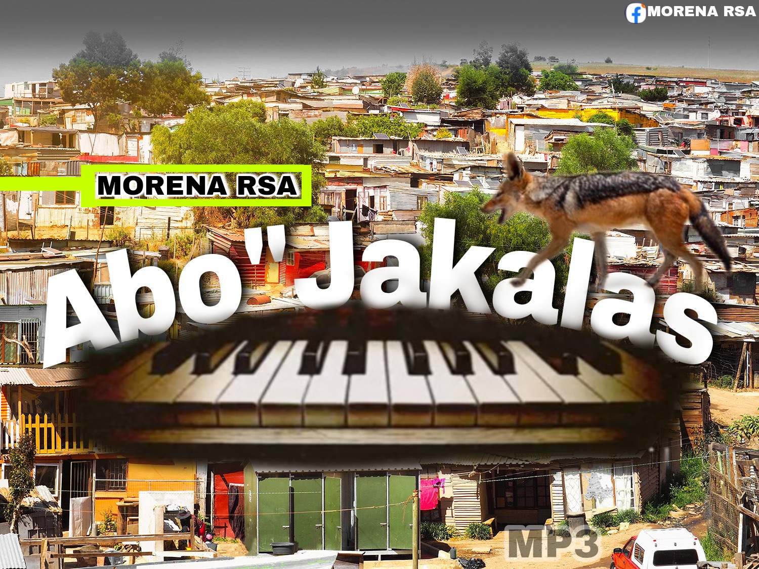 Abo jakalas - Morena rsa