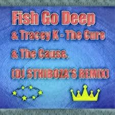 The cure & the cause (dj sthiboza's remix) - Fish go deep feat Tracy-k
