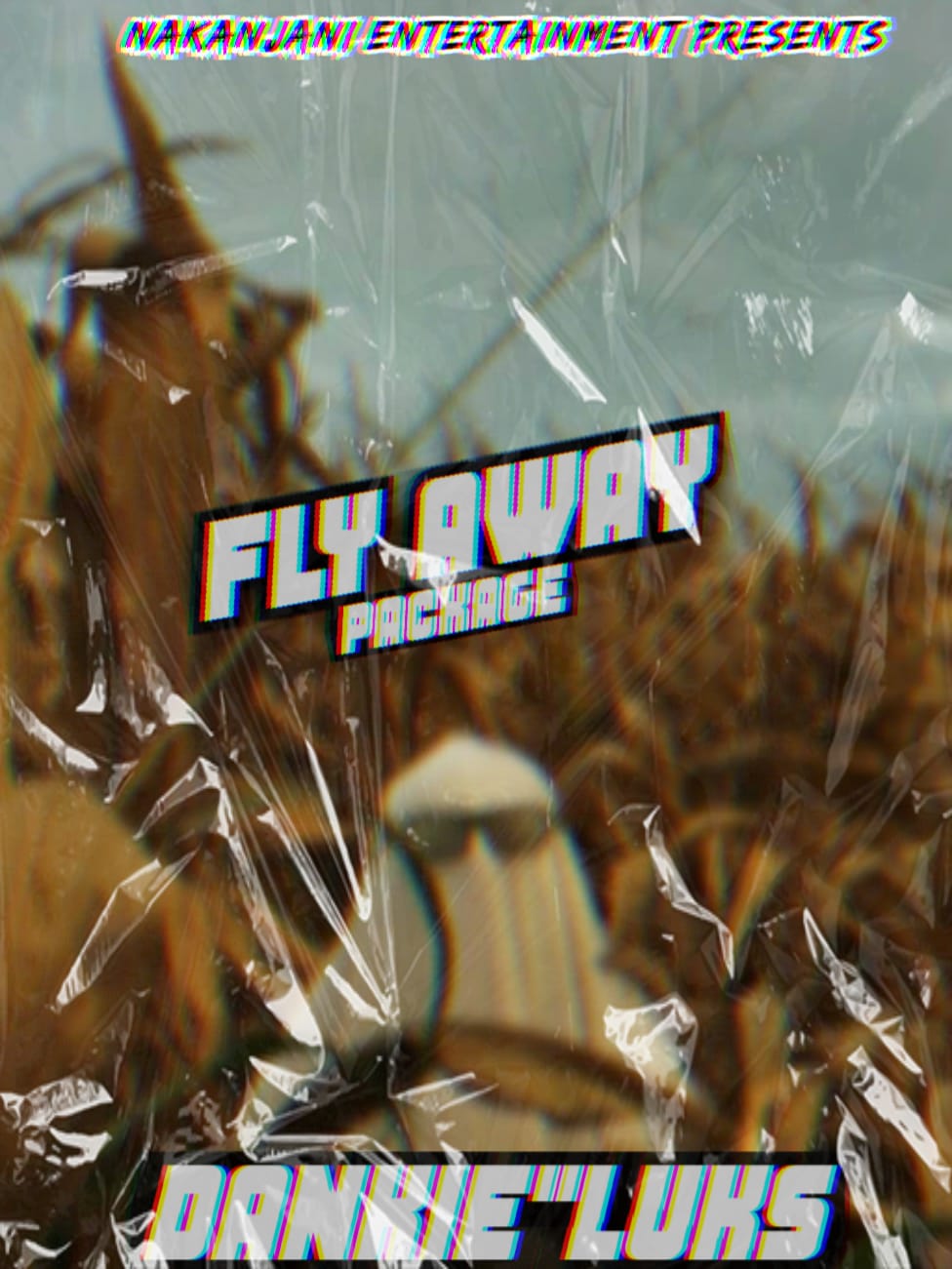 Fly Away - Dankie'Luks