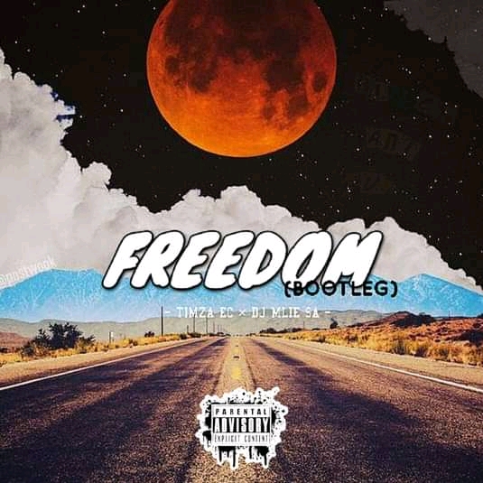 Freedom(bootleg) - Timza EC × Dj Mlie SA