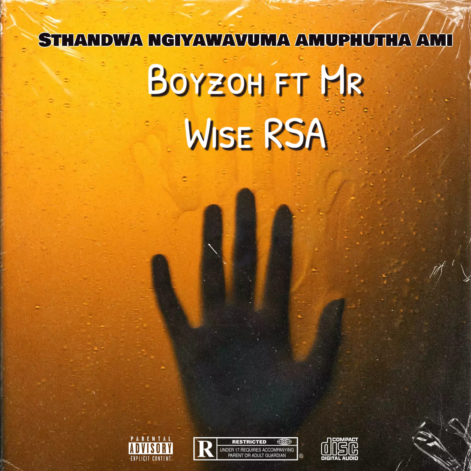 Ngiyawavuma amaphutha ami - (Boyzoh ft Mr Wise Rsa) ft Black-tee