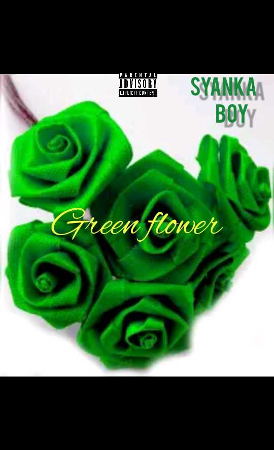 GreeN FloweR - Syanka boy