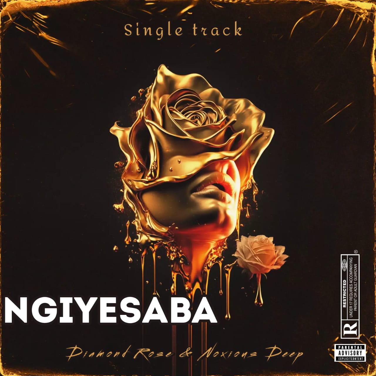 Ngiyasaba - Diamond Rose,Noxious De&Soulsounds records