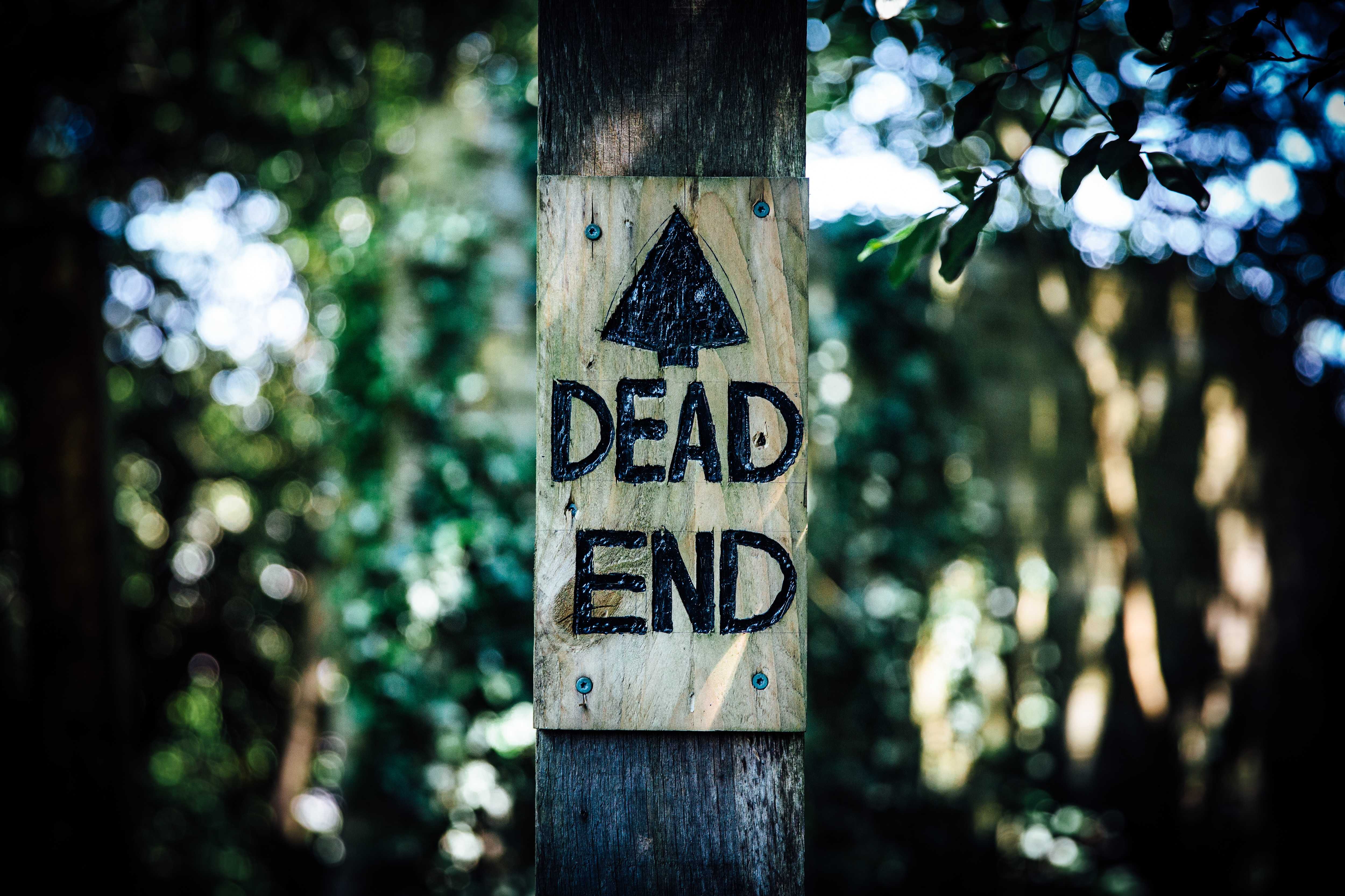 Dead end - Shimora CPT & Vusta CPT