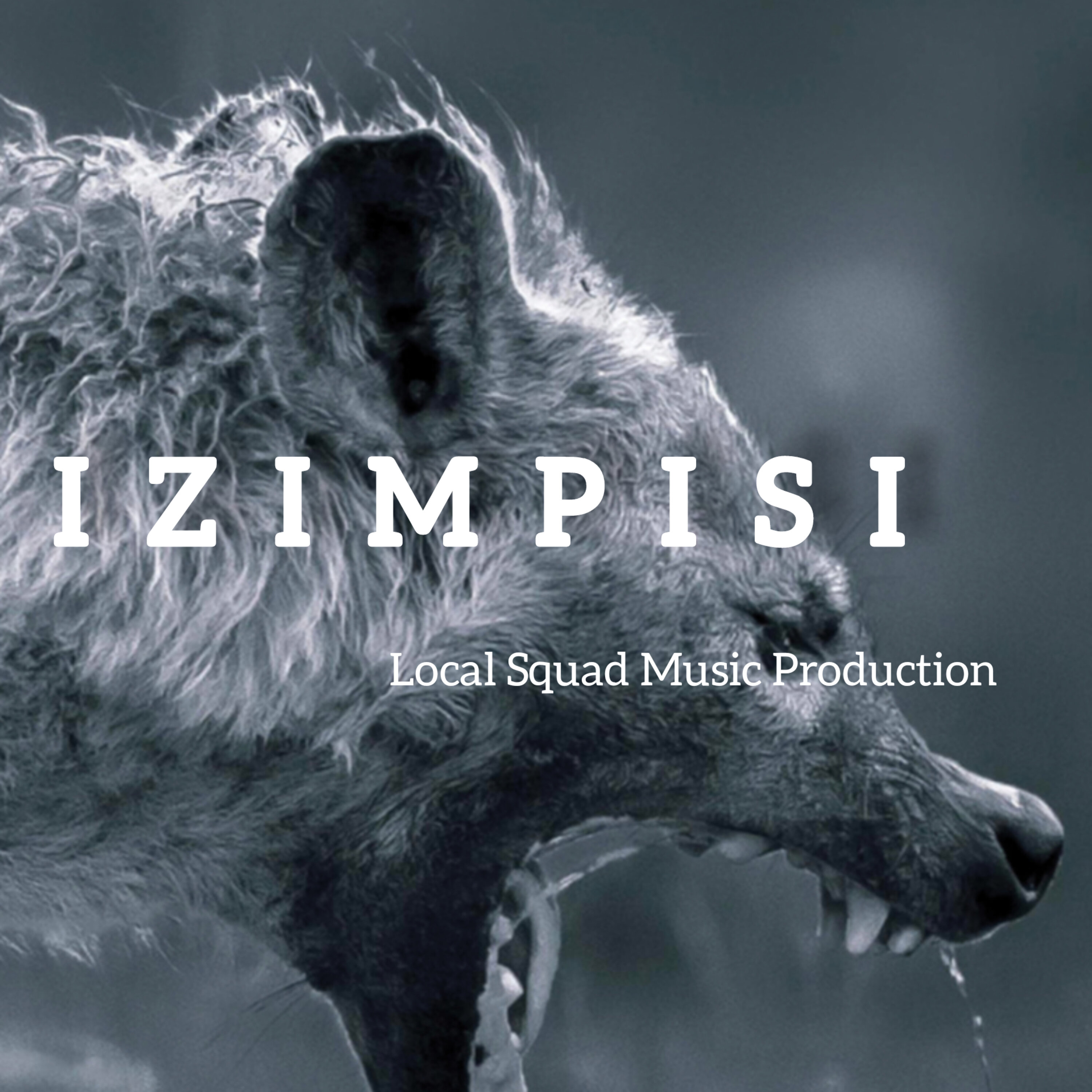 Izimpisi - Dj boyzin