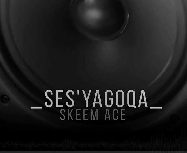 Ses'Yagoqa - Skeem ace