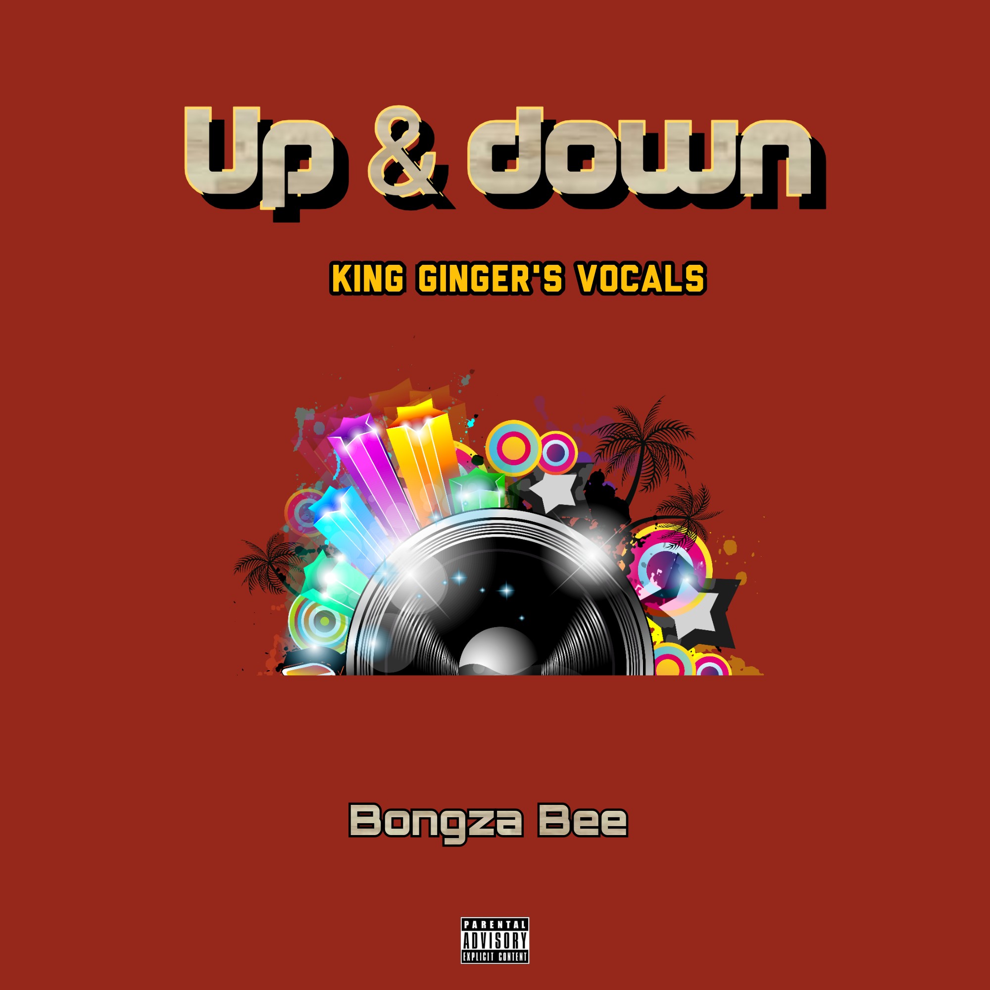 Up & down (King ginger's vocals) - Bongza Bee