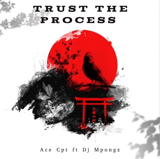 Trust the process - Ace Cpt & Dj Mpongz