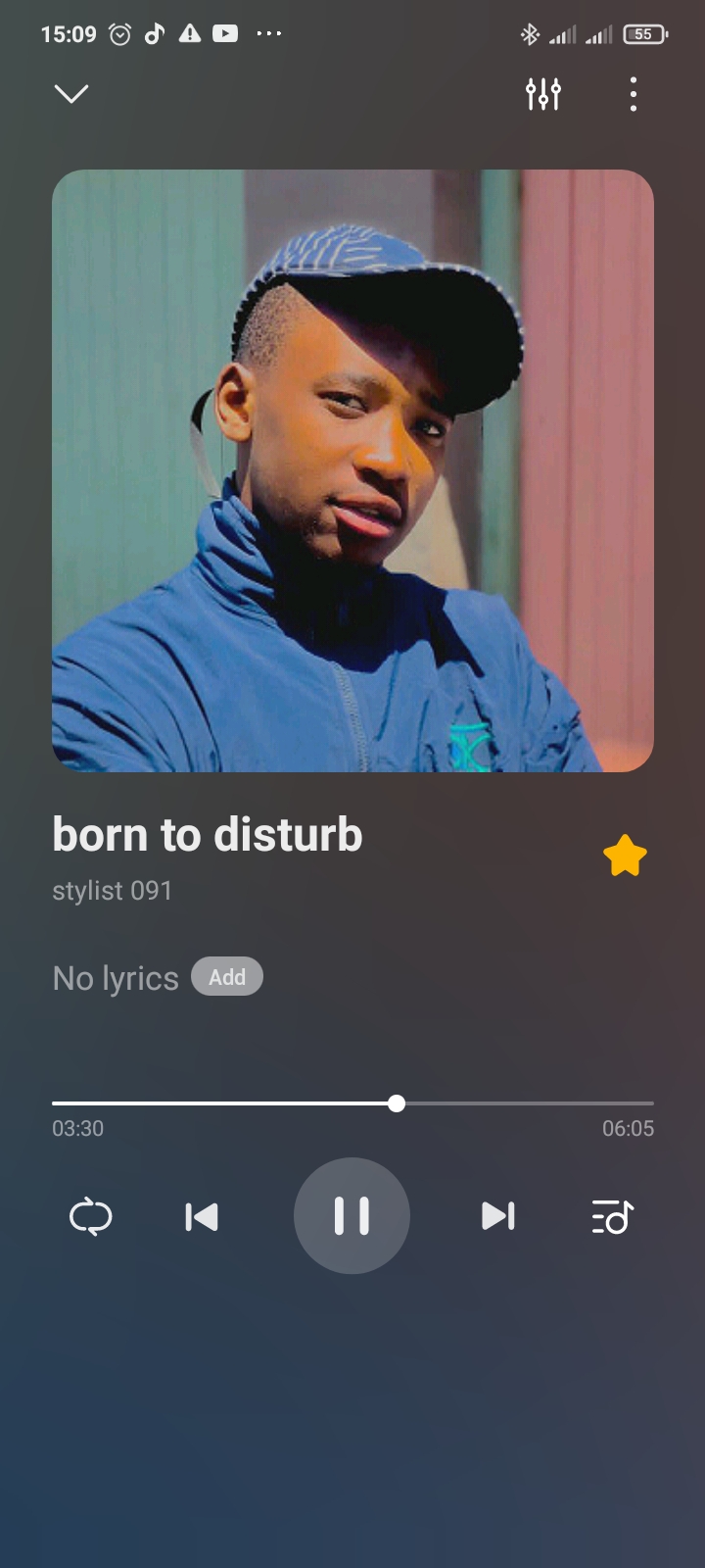 Born to disturb - Stylist 091