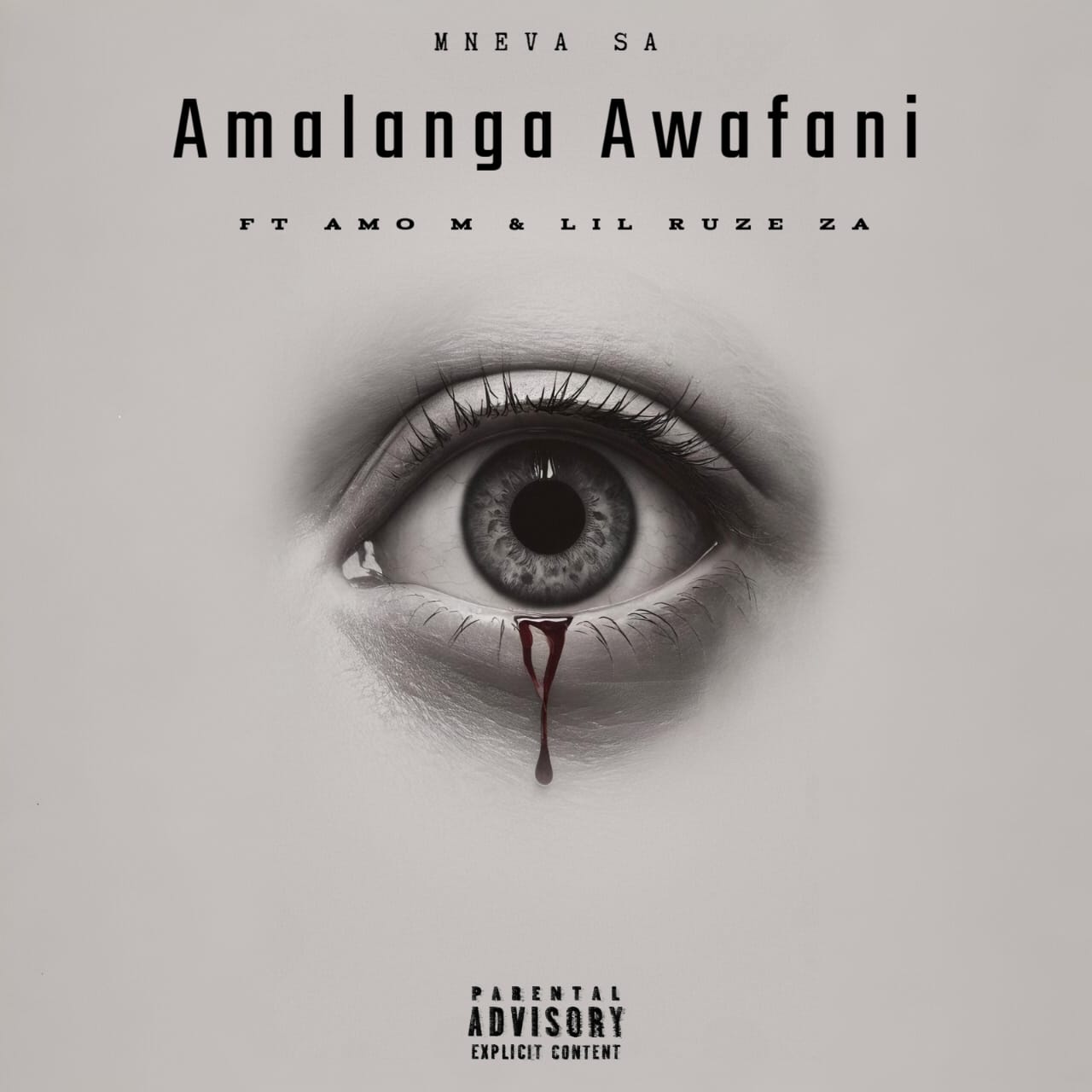 Amalanga Awafani (Feat Amo M & Lil Ruze ZA) - Mneva SA