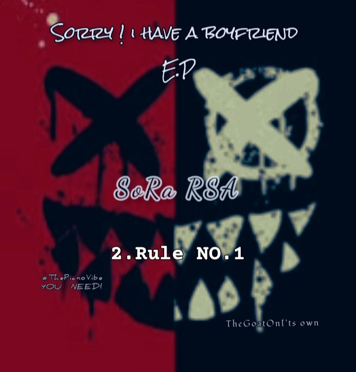 RULE NO.1 ! - SoRa RSA
