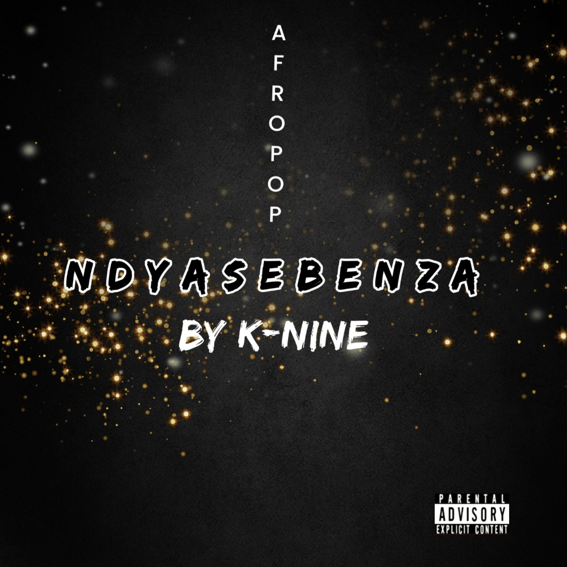 K-NINE - Ndyasebenza